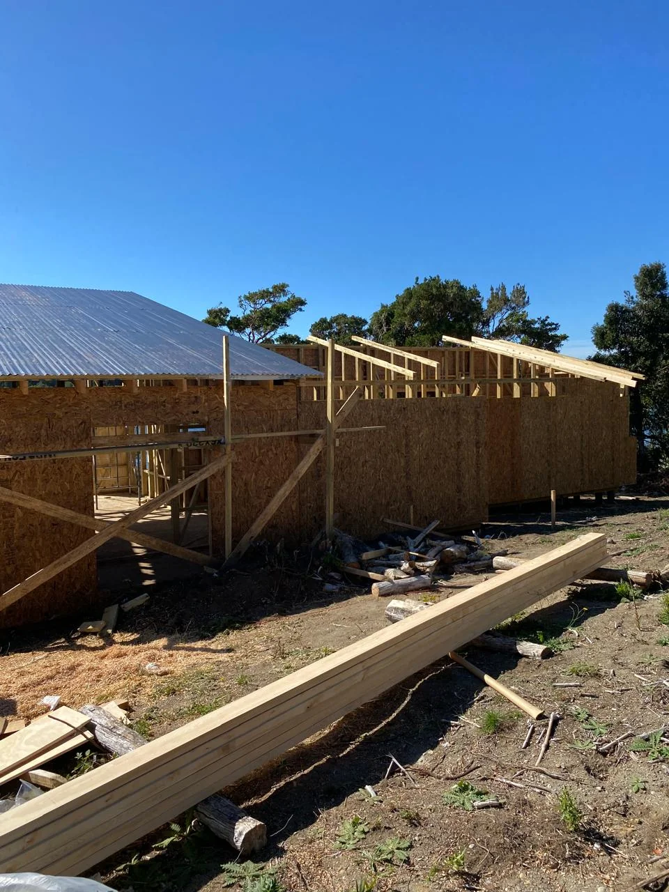 Casa Caipulli: proyecto